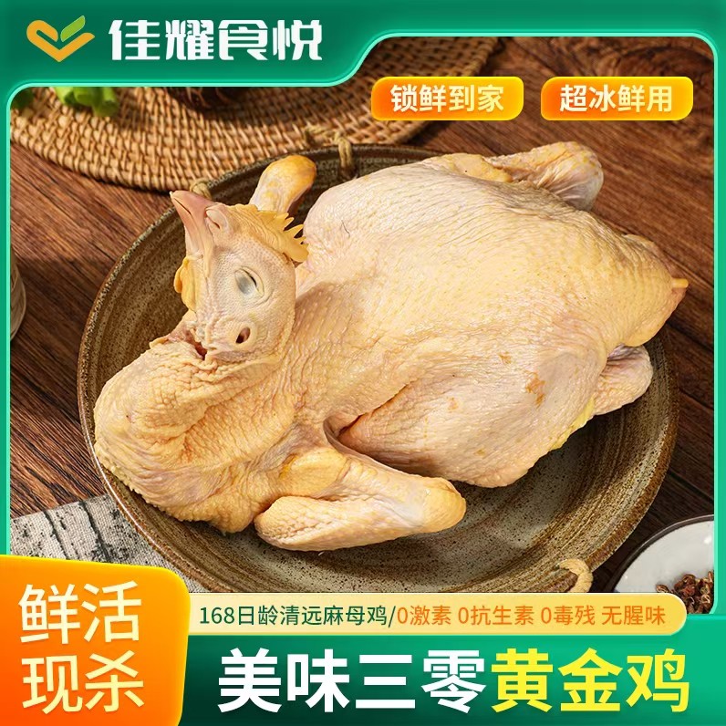 美味三零黄金鸡